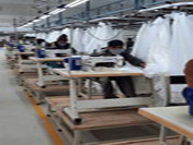 Umer Group Processing & Sewing Units